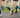 Two runners on an outdoor trail wearing OUTWAY knee-high compression socks with a teal forest tree design, shot from behind at ground level showing legs mid-stride.