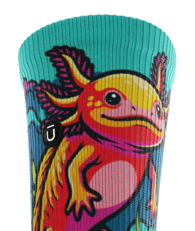 Axo-Lot of Fun Athletic Crew Socks