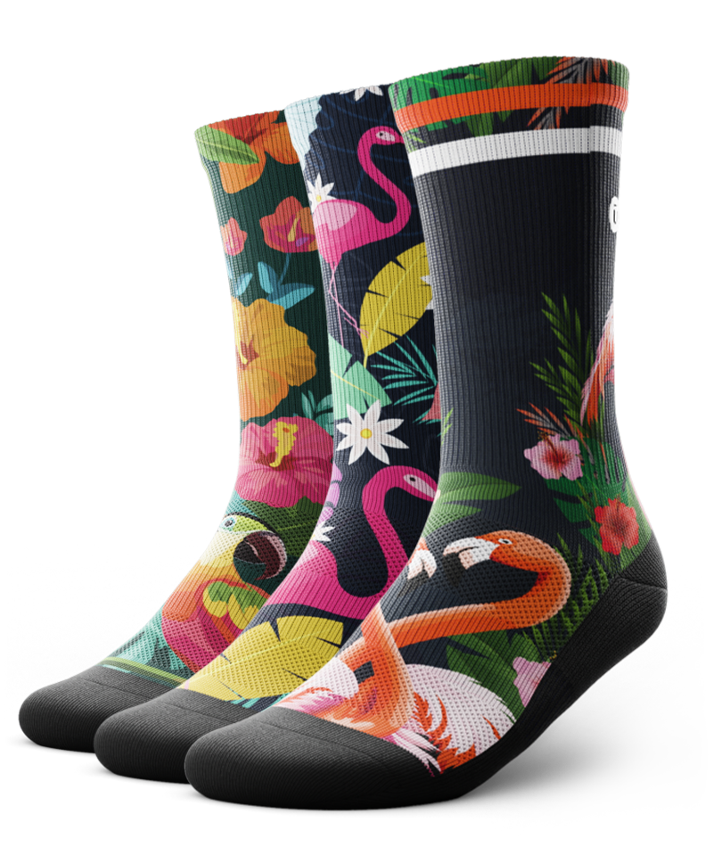 Birds of a Feather Crew Socks 3-Pack