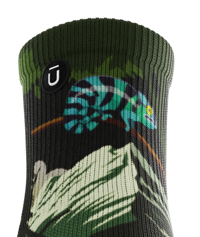 Chameleon Quarter Socks