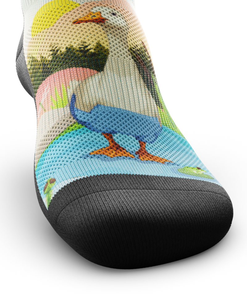Chill Duck Ankle Socks