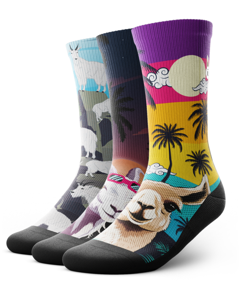 Chomper Champ Crew Socks 3-Pack