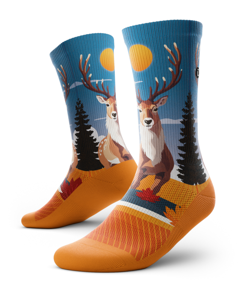 Dasher Crew Socks