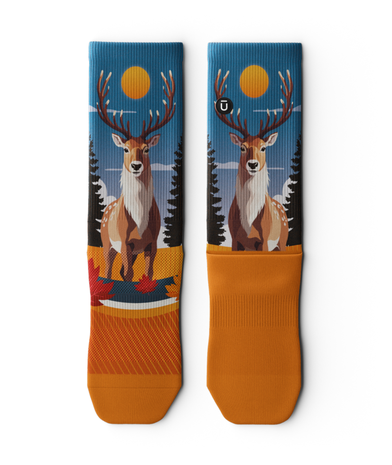 Dasher Crew Socks