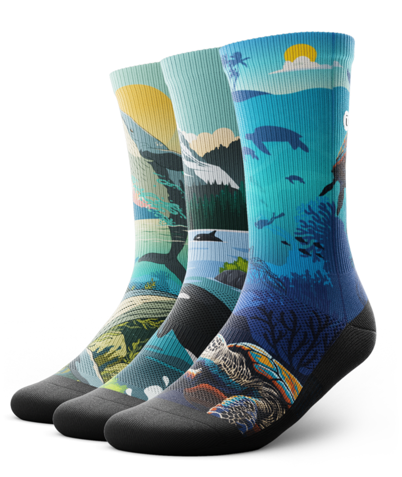 Deep Blue Athletic Crew Socks 3-Pack
