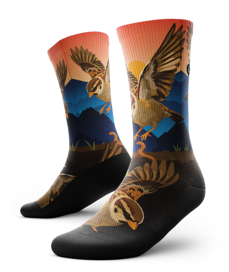 Early Bird Athletic Crew Socks