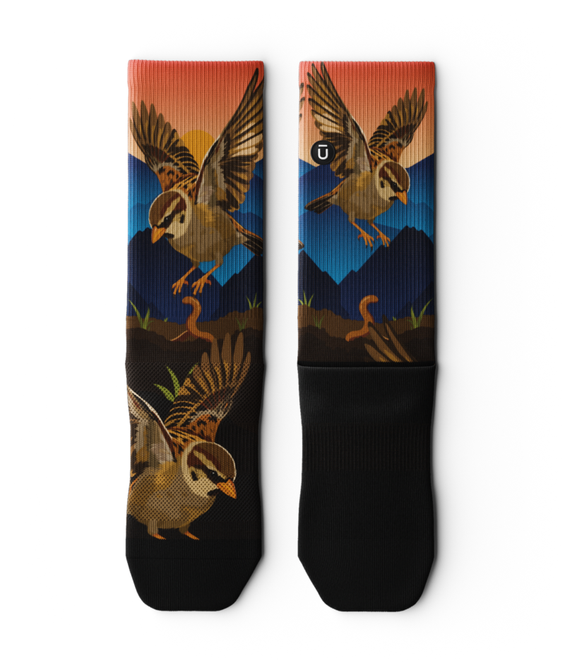 Early Bird Athletic Crew Socks