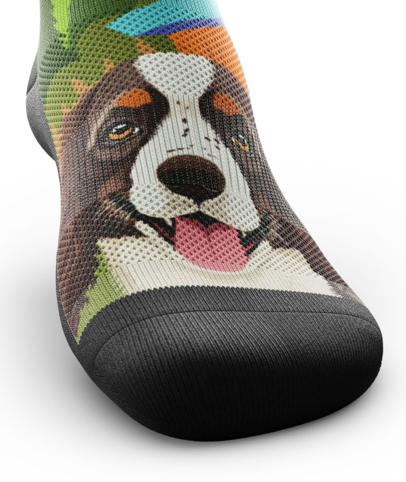 Fur-st to Finish Athletic Crew Socks