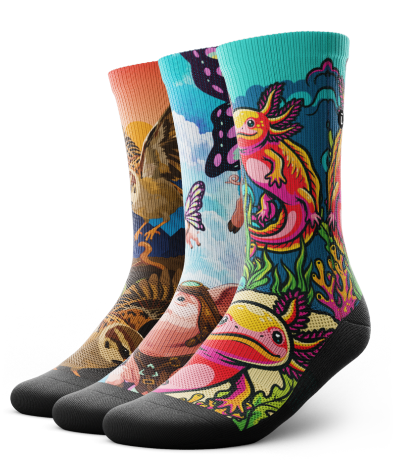 Lucid Wild Athletic Crew Socks 3-Pack