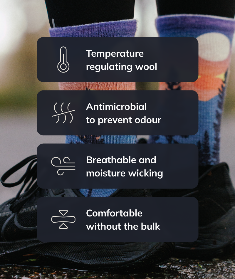 Explorer Merino Wool Lite Crew Socks 3-Pack