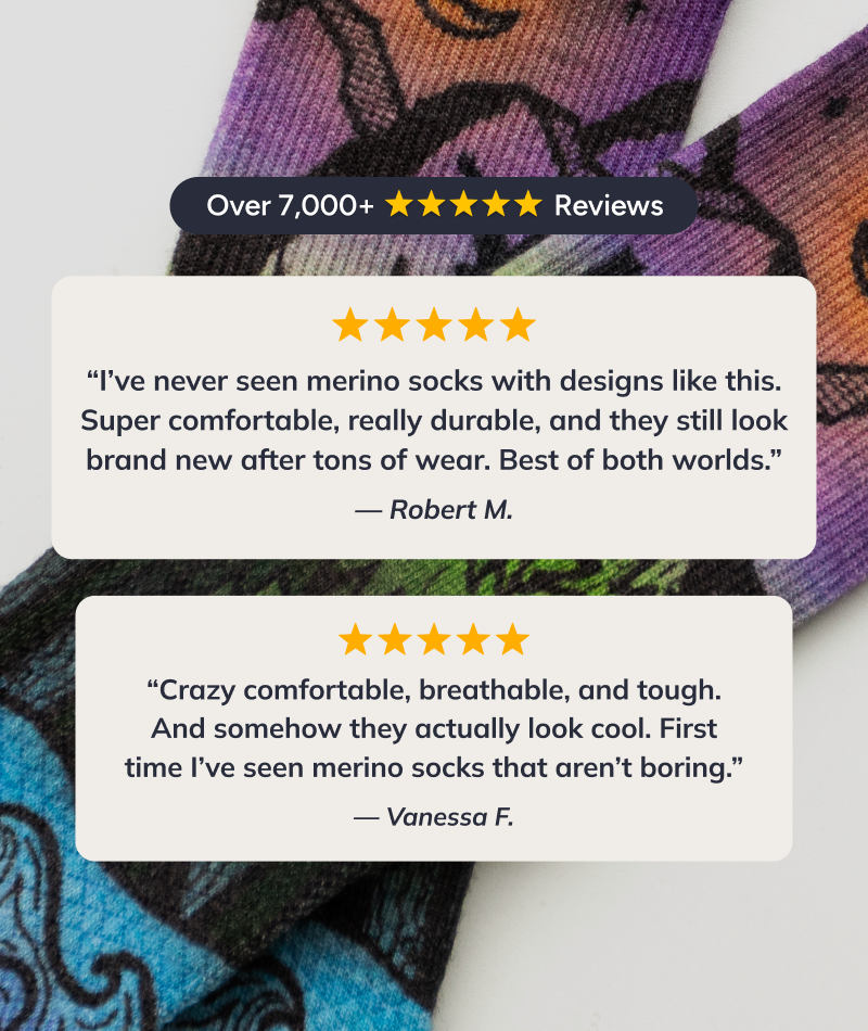 Explorer Merino Wool Lite Crew Socks 3-Pack