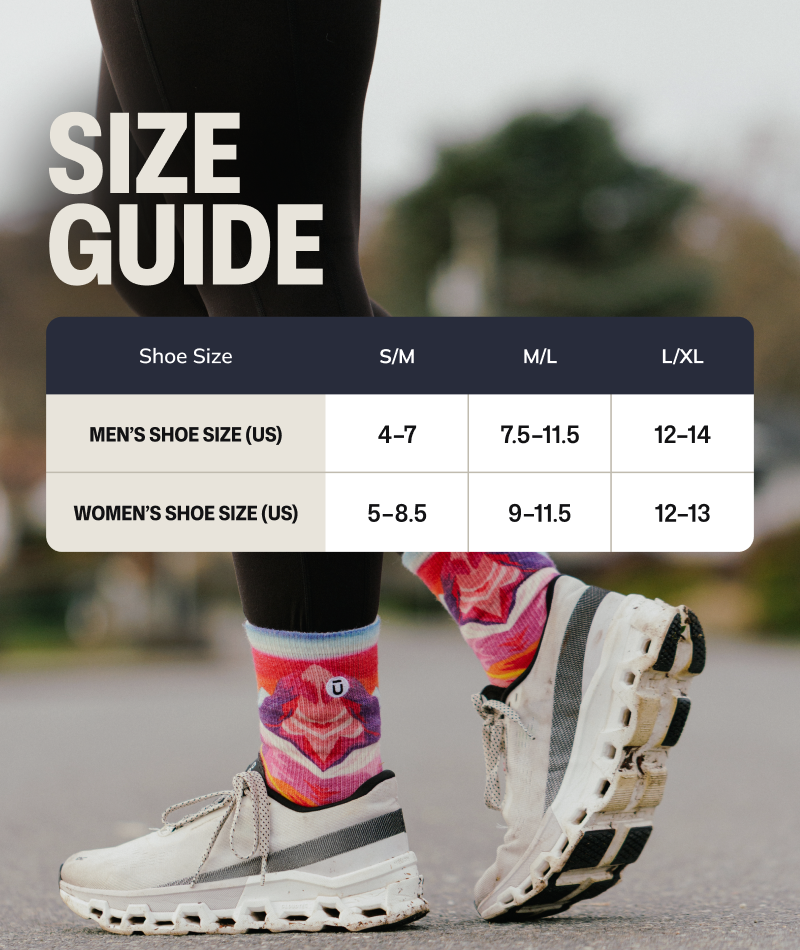 Explorer Merino Wool Lite Crew Socks 3-Pack