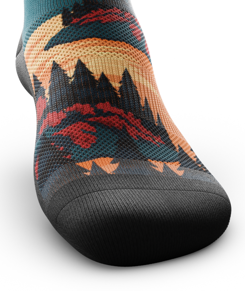 Northbound Quarter Socks