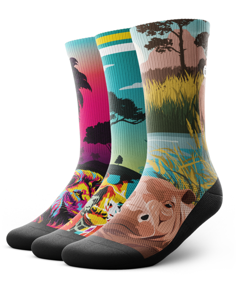 Roar, Snore, and Soar Crew Socks 3-Pack