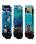 Chaussettes athlétiques Splash Brothers - Paquet de 3