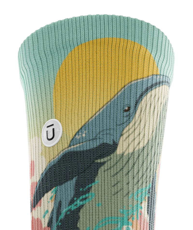 Splashtacular Athletic Crew Socks