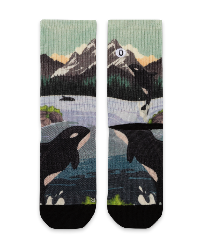 Vancouver Merino Wool Lite Crew Socks