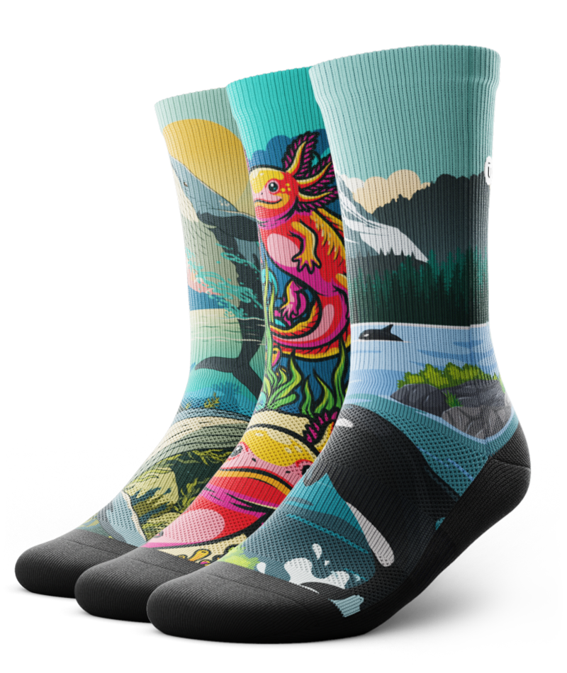 Wonders of the Sea Athletic Crew Socks 3-Pack